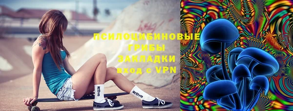 прущие грибы Железноводск