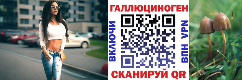 купить   Новый Уренгой  Псилоцибиновые грибы Psilocybine cubensis 